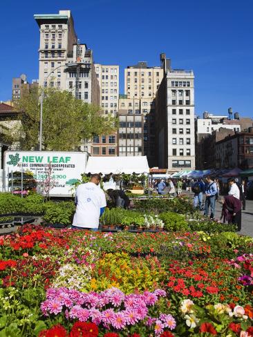 Coffee Shop  Union Square on Farmers Market In Union Square  Midtown Manhattan  New York City  New