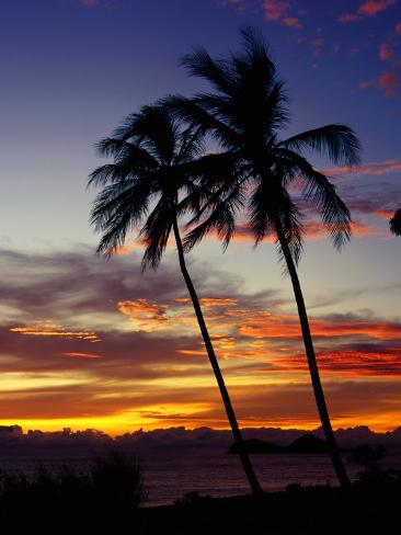 australian beach sunset