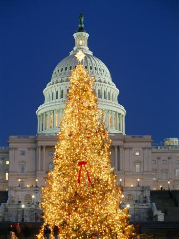 view of the national christmas tree standing before the view of the national christmas tree standing before the