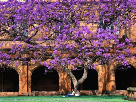 sydney college of art order your essay sydney college of art order your essay