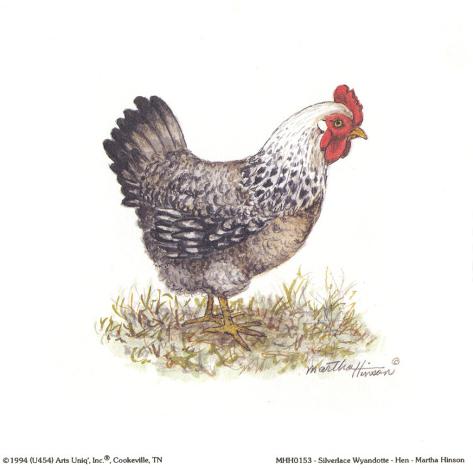 Hen Art