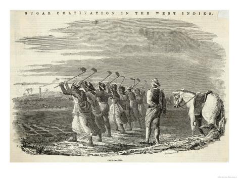 Jamaica Slaves