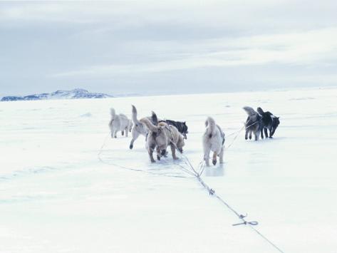 Barren Field Snow