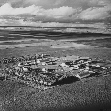 Aerial View Farmland
