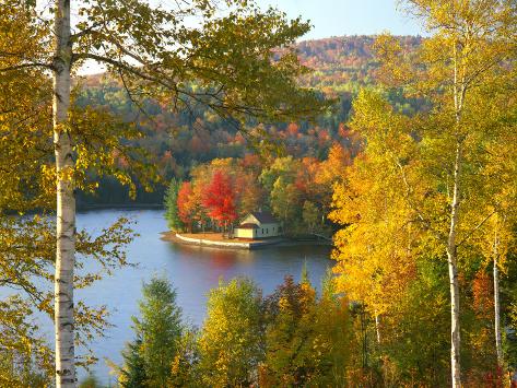 Summer Home Surrounded by Fall Colors, Wyman Lake, Maine, USA Art on 
