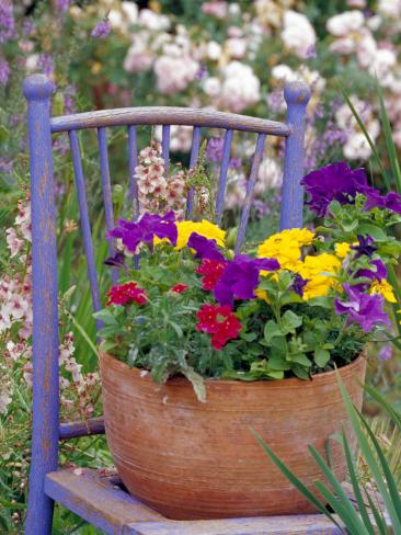 flowers in a chair     hope