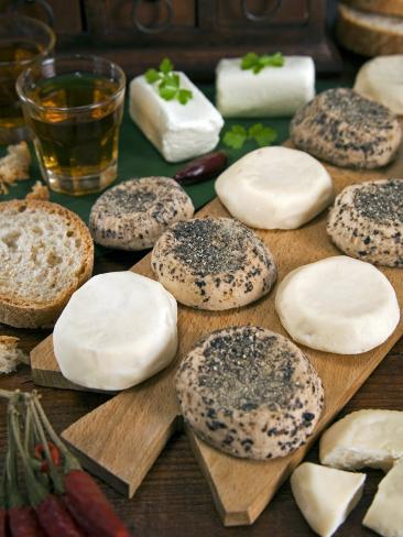 Maltese Goat Cheese, Malta, Europe Photographic Print by Tondini Nico ...