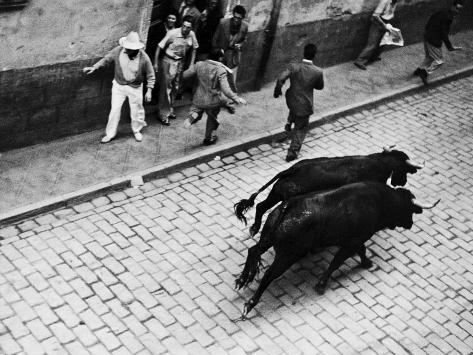 Ferman on Running Of The Bulls For Fiesta Of San Ferman Premium Photographic