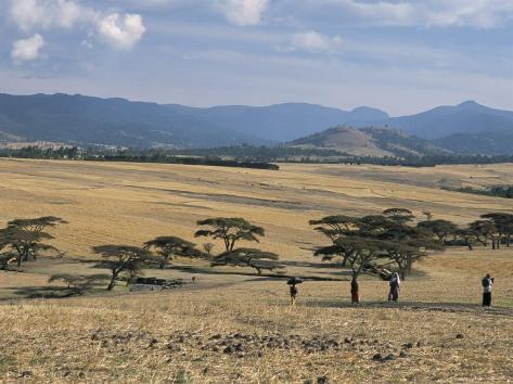 Bale Mountains Ethiopia