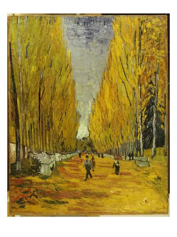 chat arles