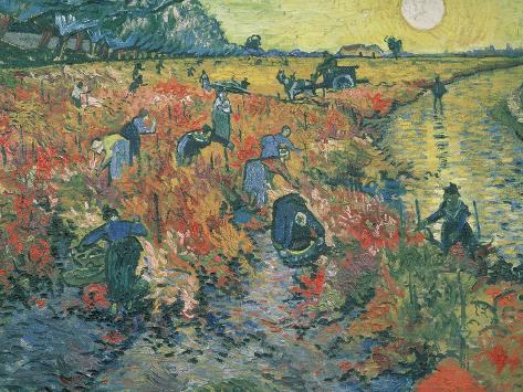 Red Vineyards at Arles, 1888 Stretched Canvas Print by