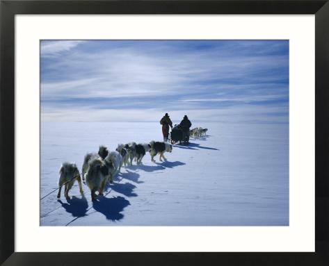 huskies in antarctica