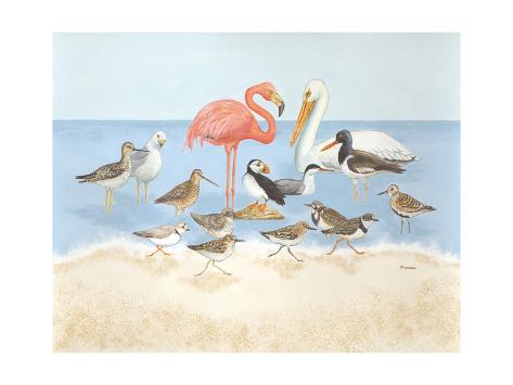 Seabird Summit Premium Giclee Print by Wen