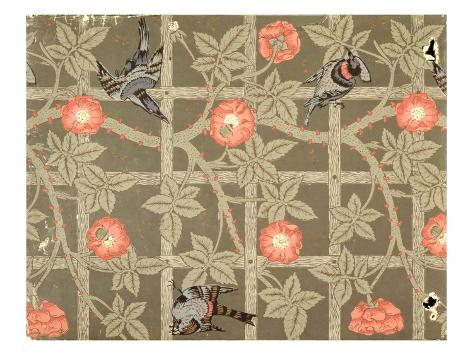 bottle green wallpaper