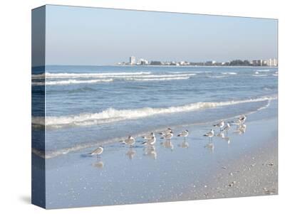 Bridge Poster Panorama John Ringling Causeway Sarasota Florida Fine Art Print