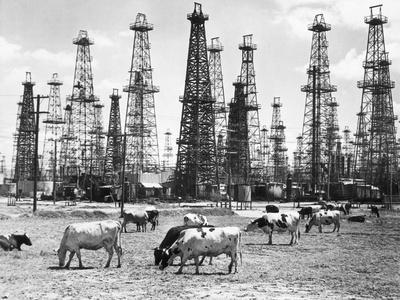 Oil Rigs / Fields Photography Wall Art: Prints, Paintings & Posters |  Art.com