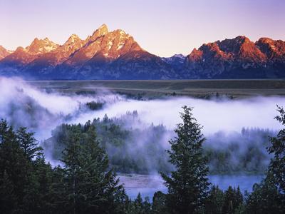 Yellowstone National Park Buffalo By The Snake River Wyoming Panorama Poster