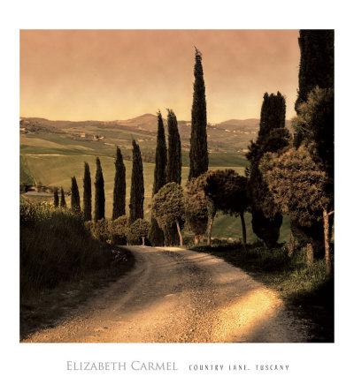 Autumn Splendor by Elizabeth Carmel Art Print Watermill Landscape Poster 32x26