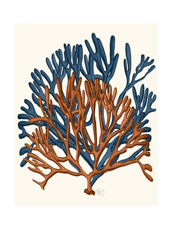 Coral Art For Sale Prints Paintings Posters Framed Wall