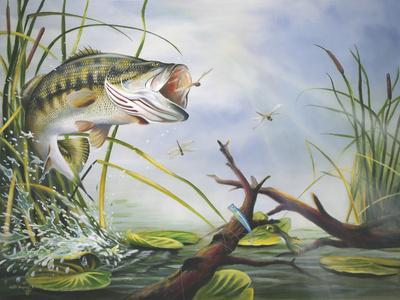 Bass painting deals