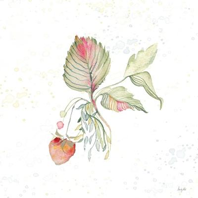 Trademark Fine Art 'Hellebore Ya Doing I' Canvas Art by Kristy Rice 