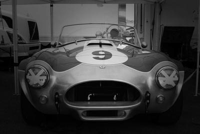 Shelby Cobra Wall Art: Prints, Paintings & | Art.com