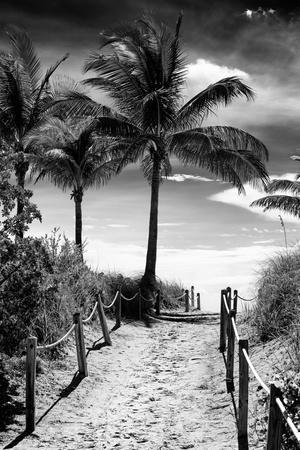 Florida Black and White Photography Wall Art: Prints, Paintings