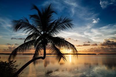 Painted Rocks Palm Trees Silhouette Beach Decor Sunset Sunrise Painting 