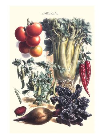 Philippe Victoire Leveque De Vilmorin Art Prints Paintings Posters Wall Art Art Com