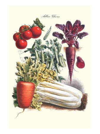 Philippe Victoire Leveque De Vilmorin Art Prints Paintings Posters Wall Art Art Com