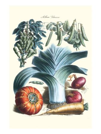 Philippe Victoire Leveque De Vilmorin Art Prints Paintings Posters Wall Art Art Com