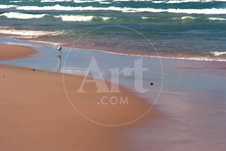 beach lake chatrooms Join local united states chat rooms and chat with local americans. beach lake chatrooms Join local united states chat rooms and chat with local americans.