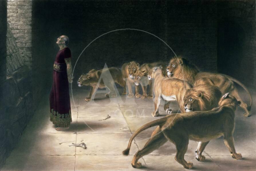 The lions den binary options