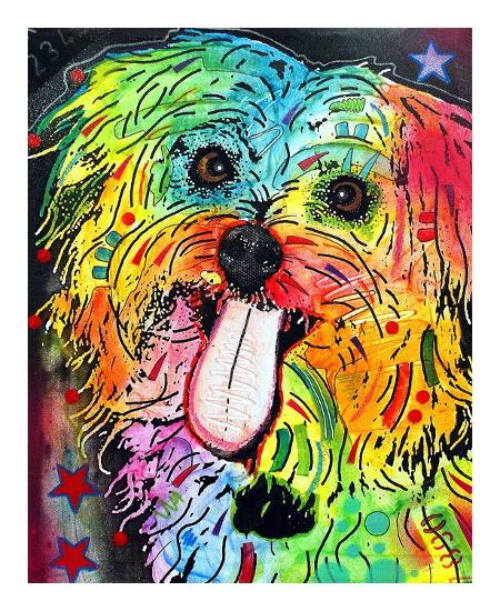 shih tzu translation shih tzu print by dean russo at co uk shih tzu translation shih tzu print by dean russo at co uk