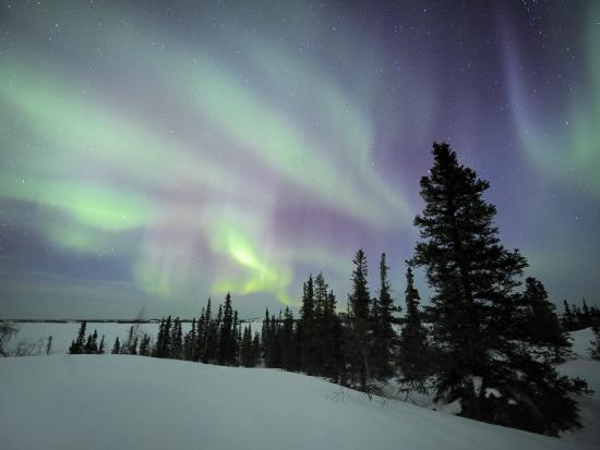 northwest territories chat site Northwest territories tourism, yellowknife, nt 70,255 likes 904 talking about this welcome to the official northwest territories tourism facebook. northwest territories chat site Northwest territories tourism, yellowknife, nt 70,255 likes 904 talking about this welcome to the official northwest territories tourism facebook.