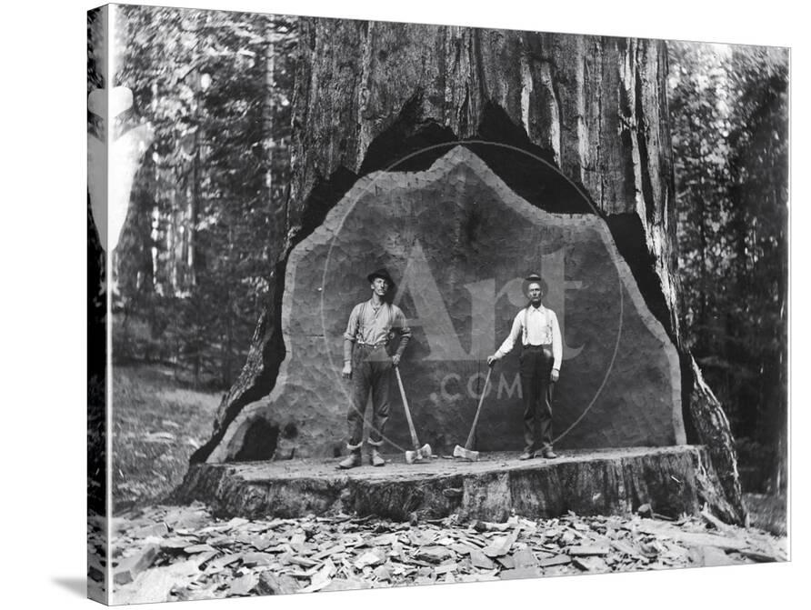 sequoia national park chat sites Thanks to the generosity of our donors, yosemite webcams bring images of el capitan, half dome, the high sierra and yosemite falls to you the falls stream live, while the others upload every 30 seconds (click “refresh” to update your view. sequoia national park chat sites Thanks to the generosity of our donors, yosemite webcams bring images of el capitan, half dome, the high sierra and yosemite falls to you the falls stream live, while the others upload every 30 seconds (click “refresh” to update your view.