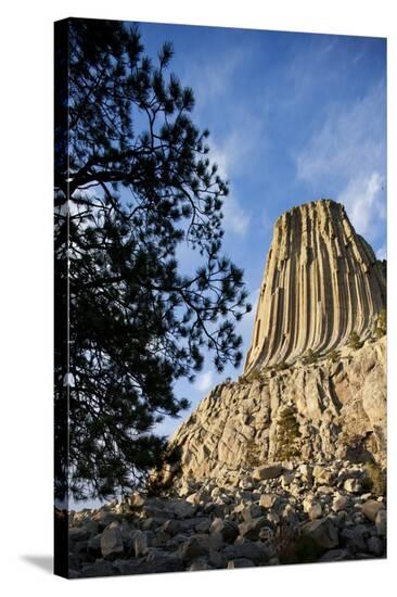 devils tower sex chat Claim: a large root system was discovered below devil's tower in wyoming. devils tower sex chat Claim: a large root system was discovered below devil's tower in wyoming.