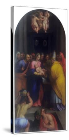 circumcision chat icon circumcision chat icon