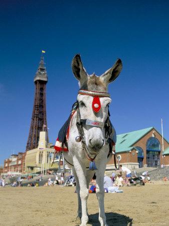 blackpool chat 100% free online dating in blackpool 1,500,000 daily active members. blackpool chat 100% free online dating in blackpool 1,500,000 daily active members.