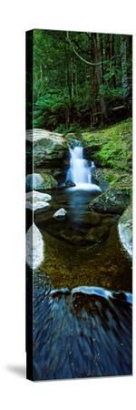 Liffey Falls Australia printed Poster