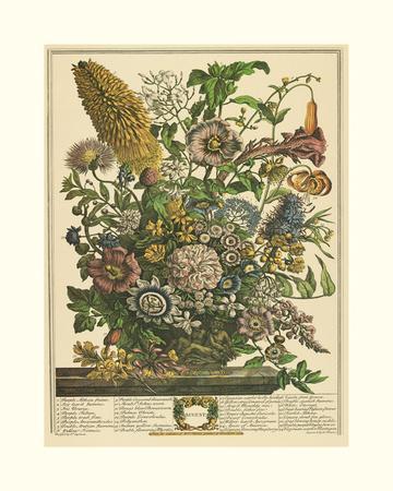 Vintage Botanical Prints: Illustrations, Posters & Wall Art