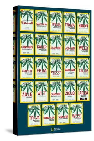 Cannabis Canvas Art Prints Paintings Posters Framed Wall Artwork For Sale Art Com