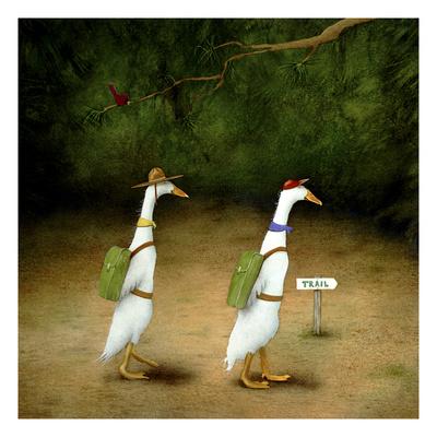Ducks Art Prints Paintings Posters Framed Wall Artwork For Sale Art Com