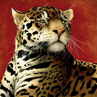 Leopard Face Detail Photograph Leopard Pictures Wall Decor Jungle Animal  Pictures for Wall Posters of Wild Animals Jungle Leopard Print Decor Animal  Wall Decor Cool Wall Decor Art Print Poster 24x16 