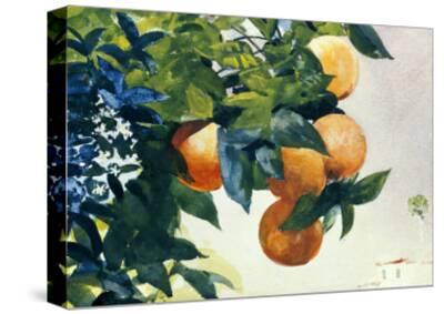 ARTCANVAS Orange Trees and Gate 1885 Canvas Art Print by Winslow Homer