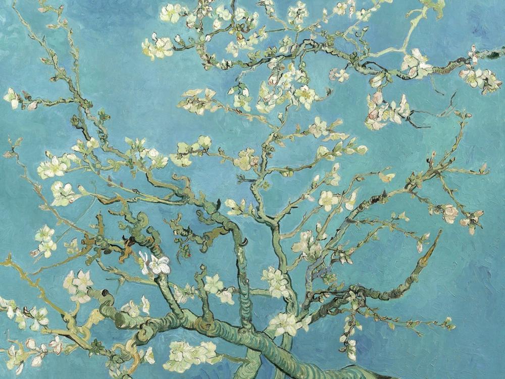 Image of Almond Blossoms, 1890