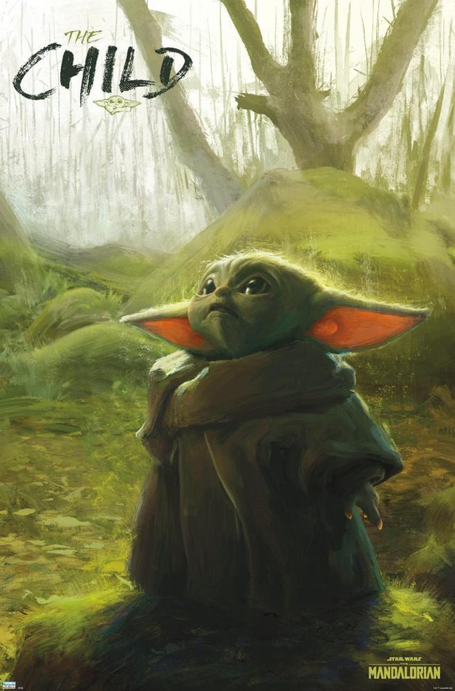 Image of Star Wars The Mandalorian - Forest