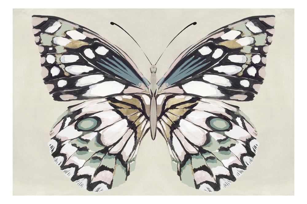 Image of Butterflys Kiss I