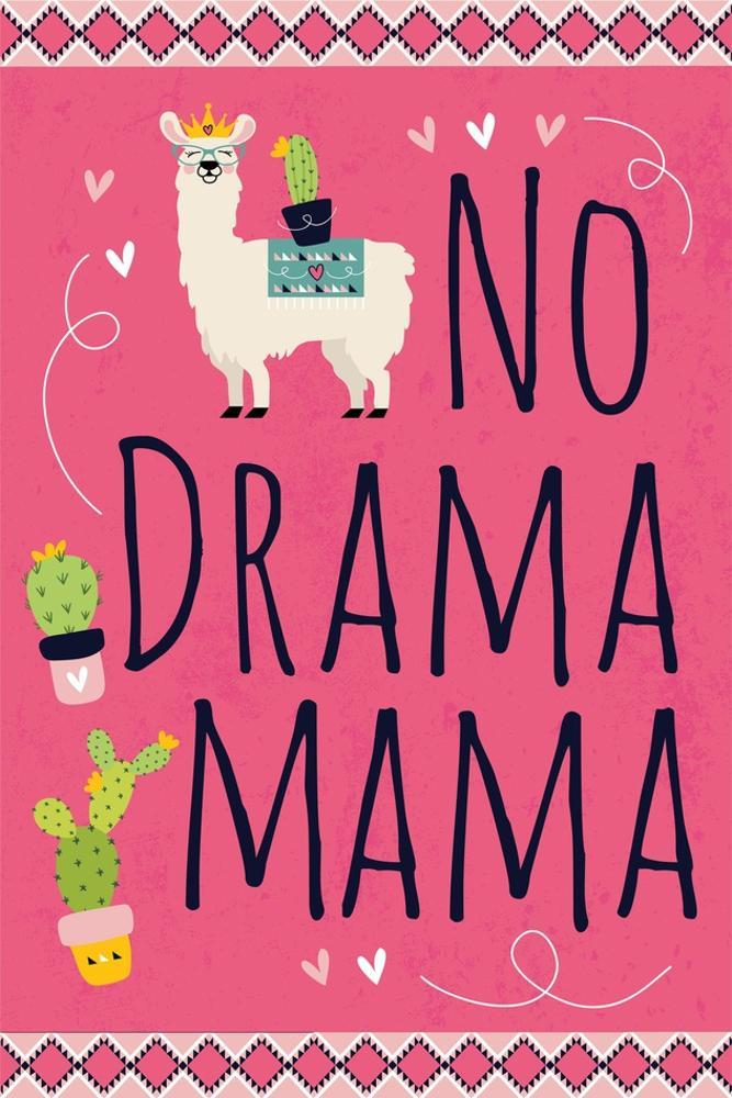 Image of No Drama Mama