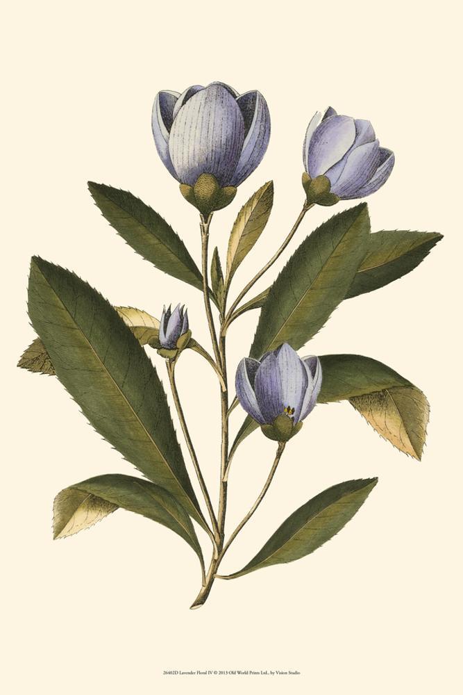 Image of Lavender Floral IV